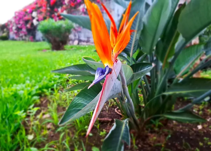 Casa Tranquila * פוארטו דה לה קרוז